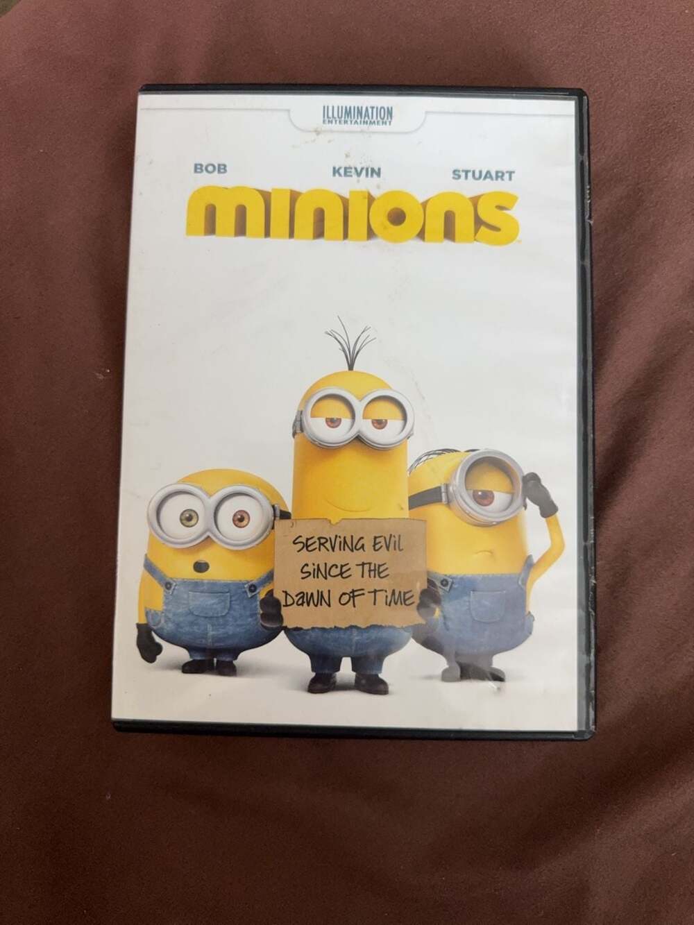 Minions (DVD, 2015)
